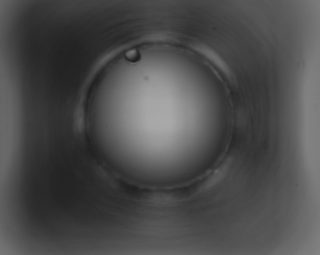 X0000101430927200807071338