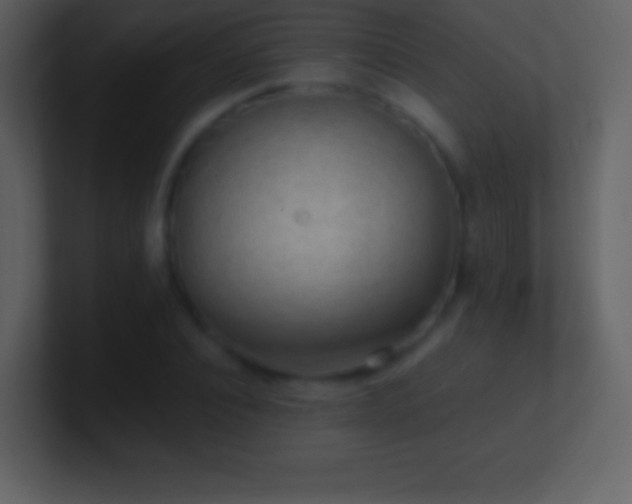 X0000101430928200807071338