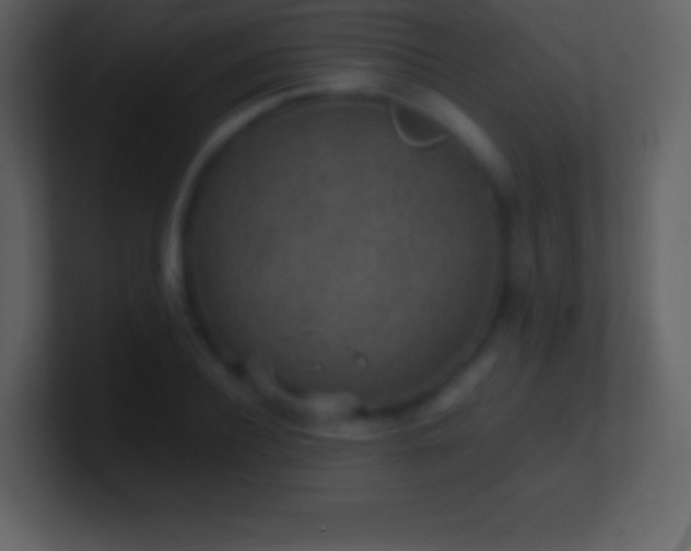 X0000101430932200807071339
