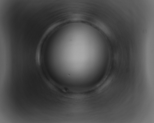 X0000101430934200807071339