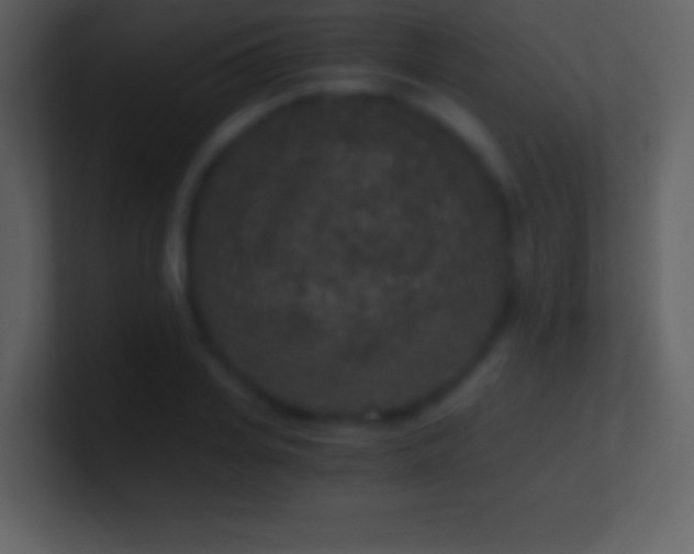 X0000101430935200807071339