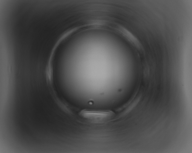 X0000101430940200807071339