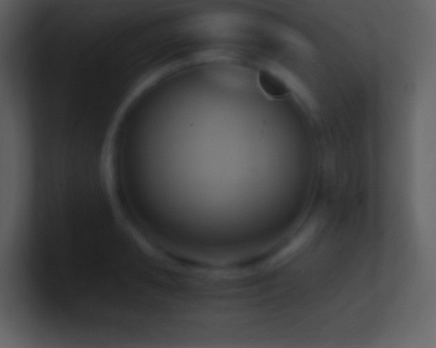 X0000101430941200807071339