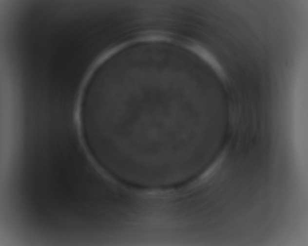 X0000101430943200807071339