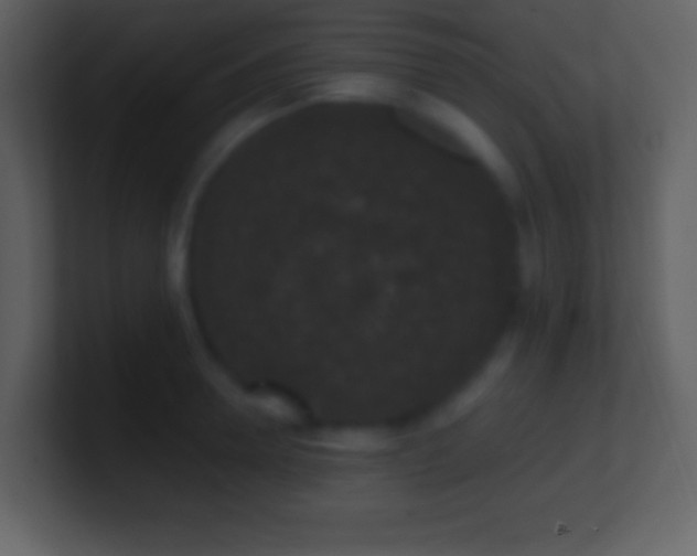 X0000101430946200807071339