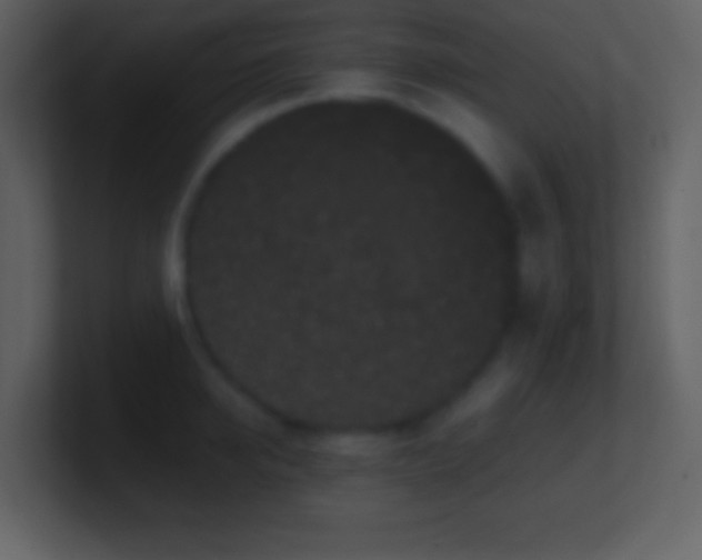 X0000101430950200807071339