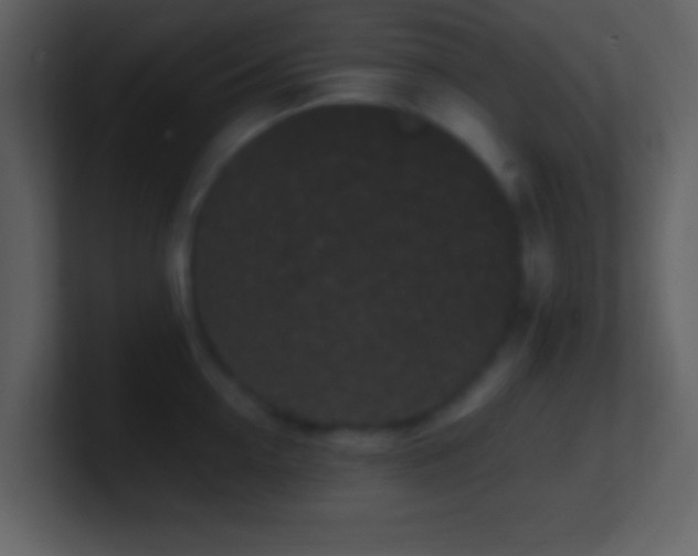 X0000101430954200807071339