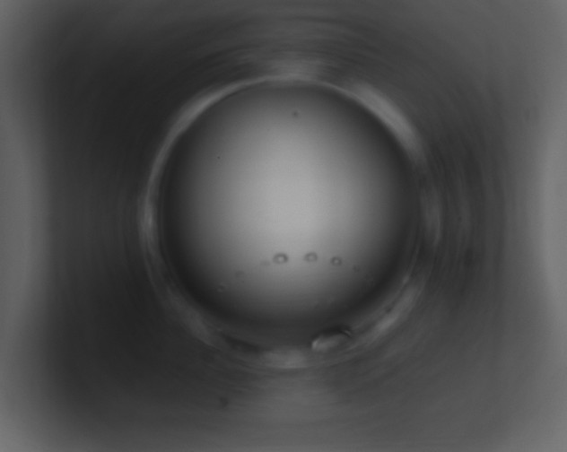 X0000101430956200807071339