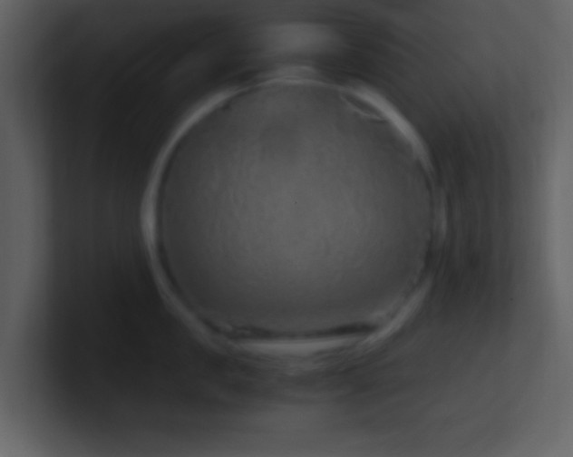 X0000101430957200807071339