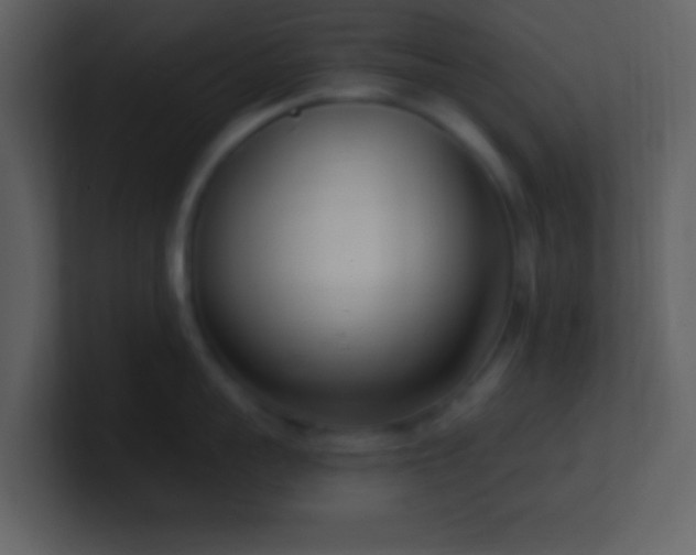 X0000101430959200807071339