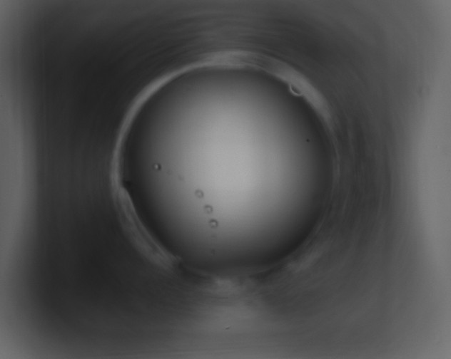 X0000101430960200807071339