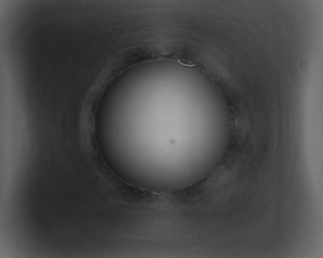 X0000101430961200807071338