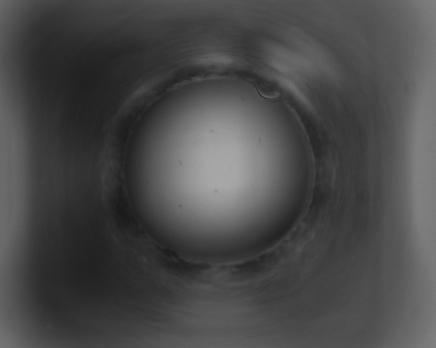 X0000101430967200807071338