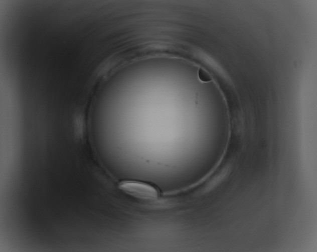 X0000101430969200807071338