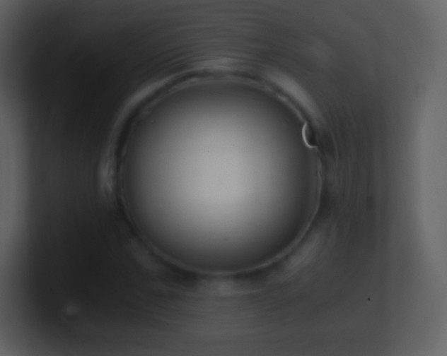 X0000101430971200807071338