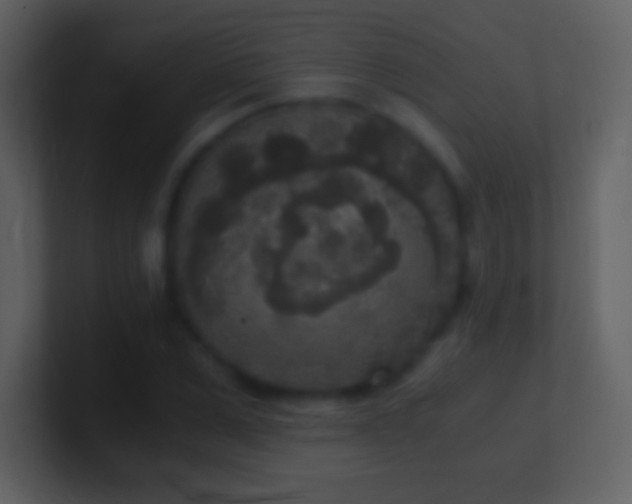 X0000101430975200807071338