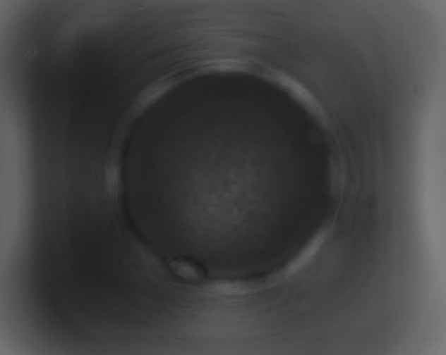 X0000101430977200807071338