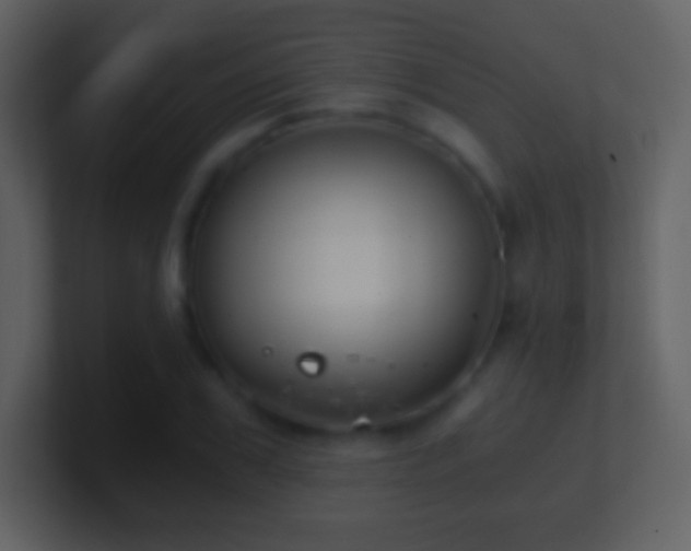X0000101430979200807071338