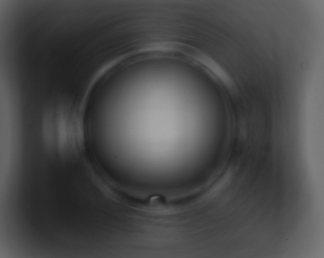 X0000101430980200807071338