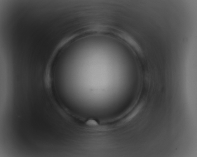 X0000101430981200807071338