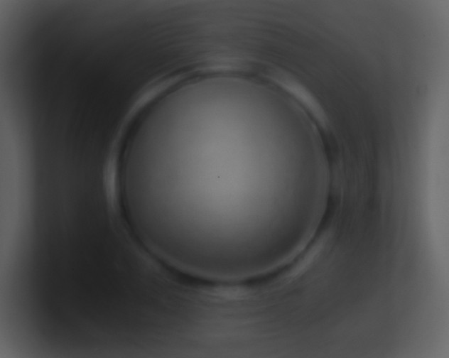 X0000101430983200807071338