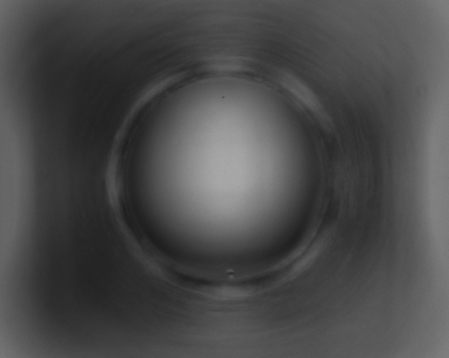X0000101430984200807071338