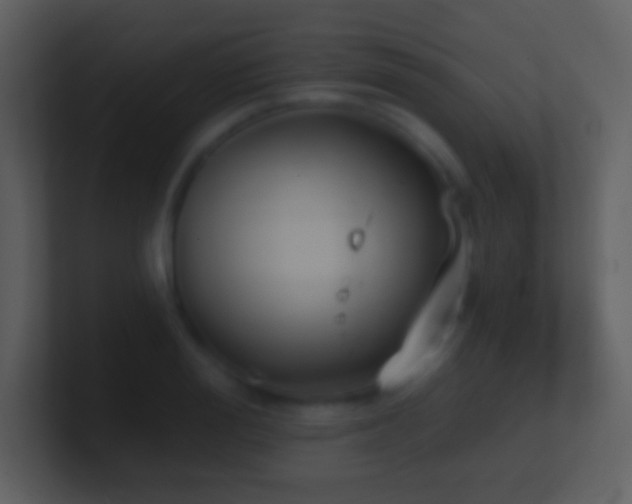 X0000101430988200807071338