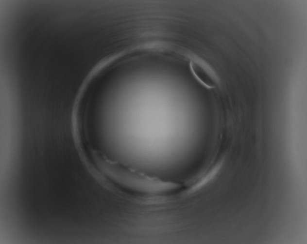 X0000101430989200807071338