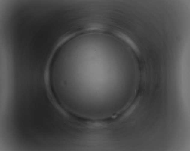 X0000101430991200807071338