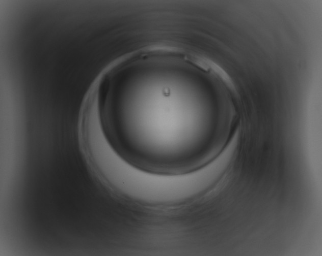 X0000101430992200807071338