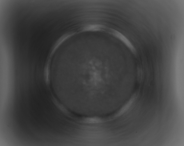 X0000101430994200807071338