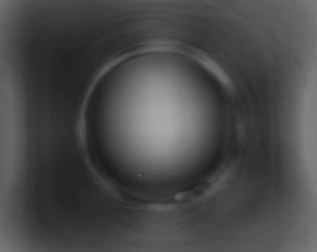 X0000101430996200807071338