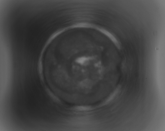 X0000101430998200807071338