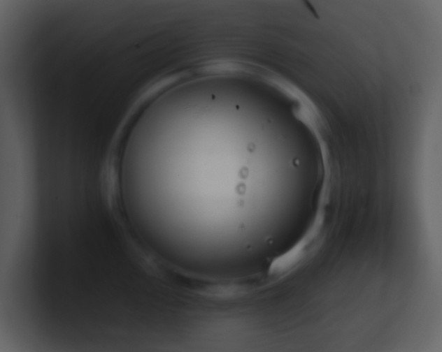 X0000101431000200807071338