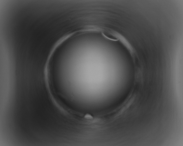 X0000101431003200807071338