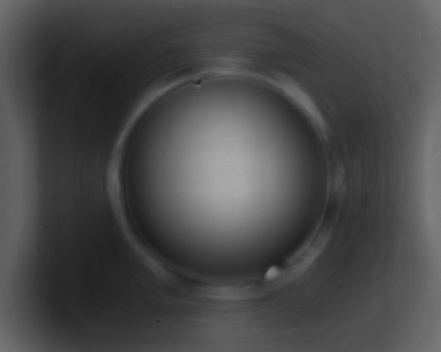 X0000101431005200807071338