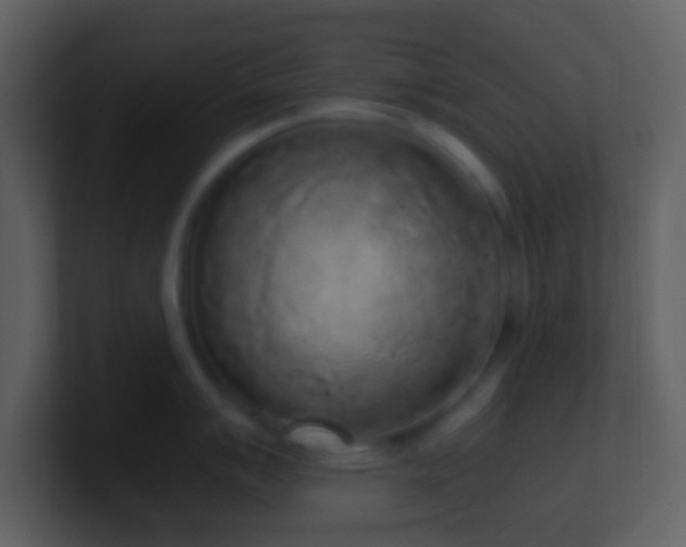 X0000101431007200807071338