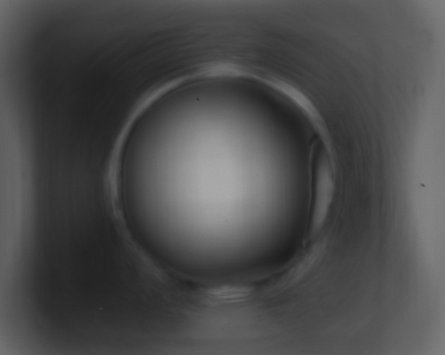 X0000101431008200807071338