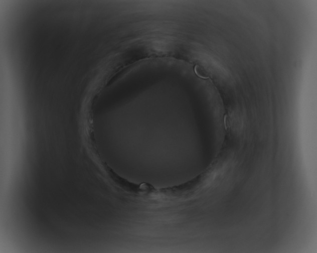 X0000101431009200807071337
