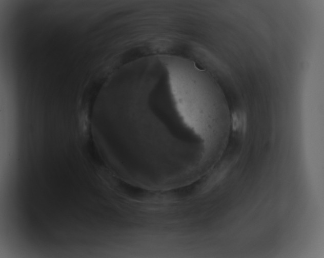 X0000101431011200807071337