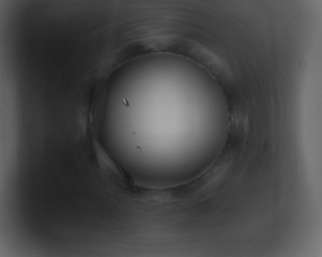 X0000101431012200807071337