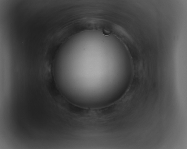 X0000101431013200807071337