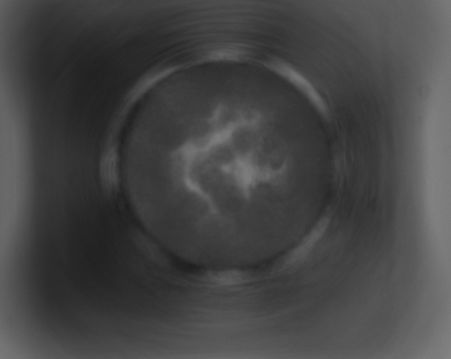 X0000101431019200807071337