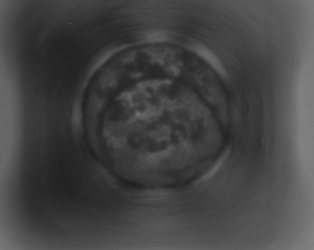 X0000101431023200807071337