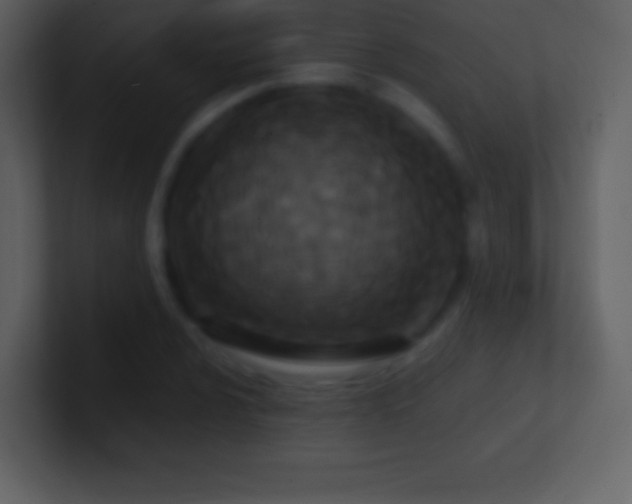 X0000101431024200807071337
