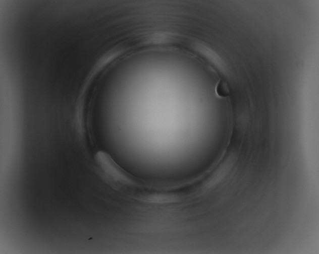 X0000101431026200807071337