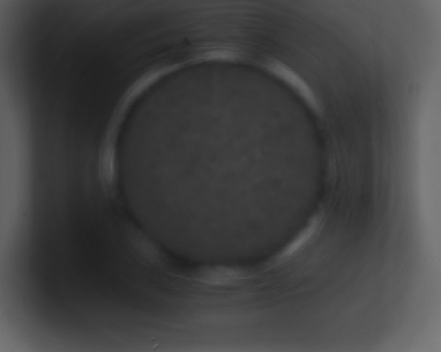 X0000101431027200807071337