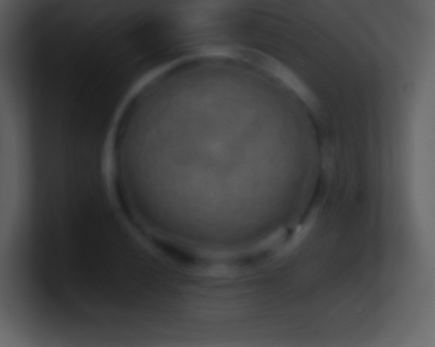 X0000101431028200807071337