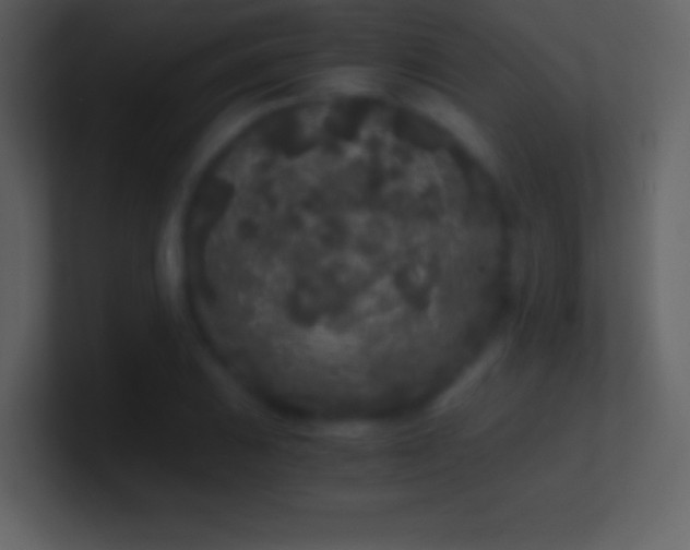 X0000101431031200807071337