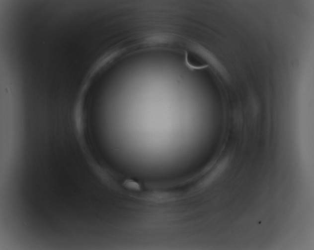 X0000101431034200807071337